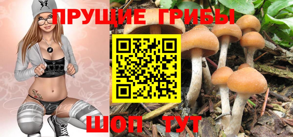 Псилоцибиновые грибы Magic Shrooms Воронеж
