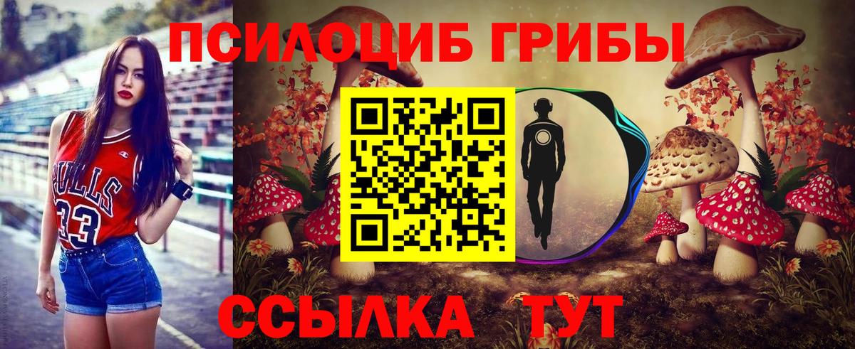 купить   Вход с VPN  Воронеж  Псилоцибиновые грибы Magic Shrooms 